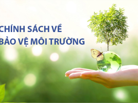 Chính sách môi trường và xã hội