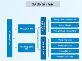 Sơ đồ tổ chức